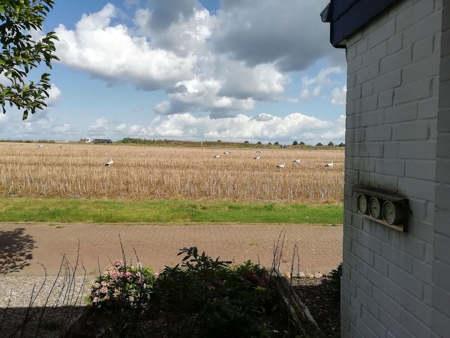 Predaj domu 117 m², pozemek 382 m², Erich-Kästner-Str. 31, Wunstorf, Dolné Sasko Predaj domu 117 m², pozemek 382 m², Erich-Kästner-Str. 31, Wunstorf, Dolné Sasko