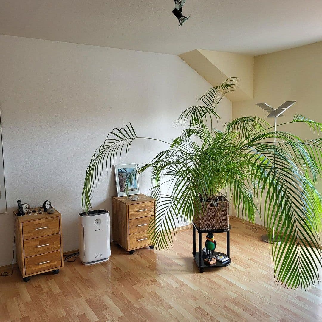 Prenájom bytu 3-izbový 120 m², Frankfurter Str.90, Salzgitter, Dolné Sasko Prenájom bytu 3-izbový 120 m², Frankfurter Str.90, Salzgitter, Dolné Sasko