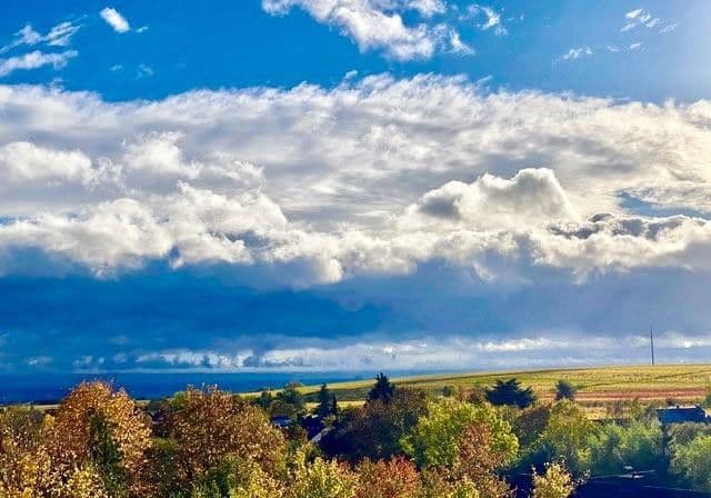 Predaj domu 270 m², pozemek 776 m², Weisenheim am Berg, Porýnie-Falcko Predaj domu 270 m², pozemek 776 m², Weisenheim am Berg, Porýnie-Falcko