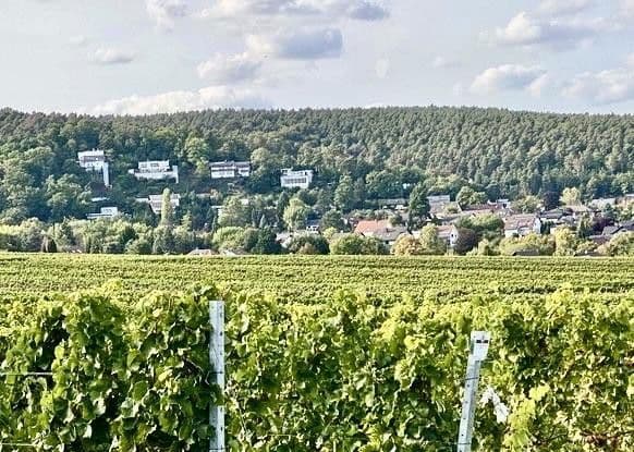 Predaj domu 270 m², pozemek 776 m², Weisenheim am Berg, Porýnie-Falcko Predaj domu 270 m², pozemek 776 m², Weisenheim am Berg, Porýnie-Falcko