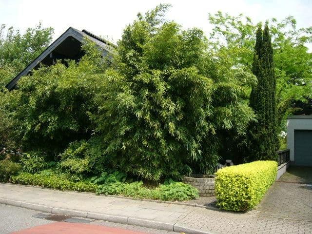 Prenájom bytu 2-izbový 63 m², Essen, Severné Porýnie - Westfálsko Prenájom bytu 2-izbový 63 m², Essen, Severné Porýnie - Westfálsko