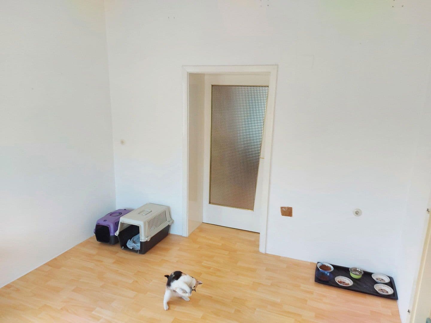 Predaj domu 86 m², pozemek 2.163 m², Sieggraben, Burgenland Predaj domu 86 m², pozemek 2.163 m², Sieggraben, Burgenland