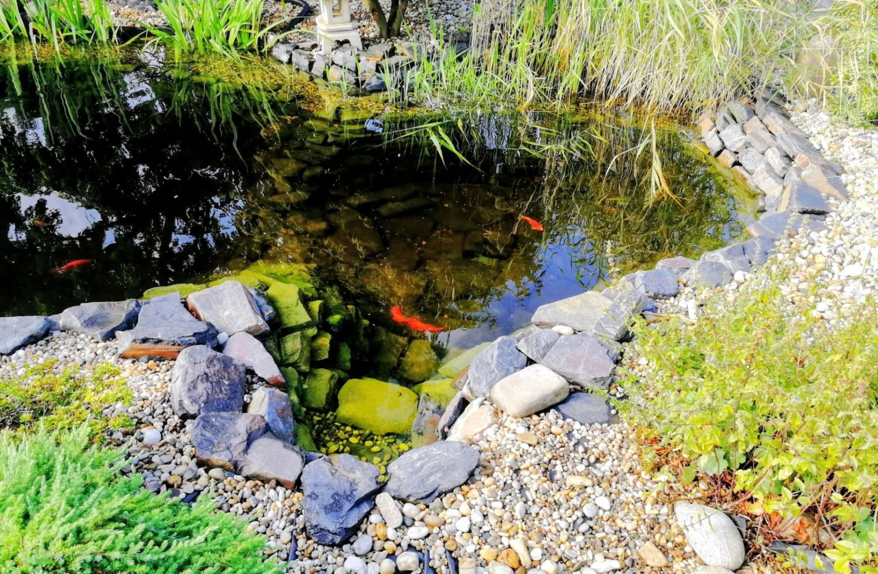 Predaj domu 120 m², pozemek 970 m², Klimkovice, Moravskoslezský kraj Predaj domu 120 m², pozemek 970 m², Klimkovice, Moravskoslezský kraj