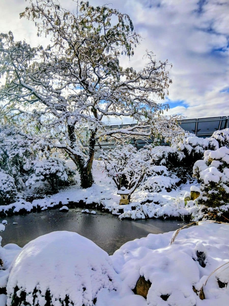 Predaj domu 120 m², pozemek 970 m², Klimkovice, Moravskoslezský kraj Predaj domu 120 m², pozemek 970 m², Klimkovice, Moravskoslezský kraj