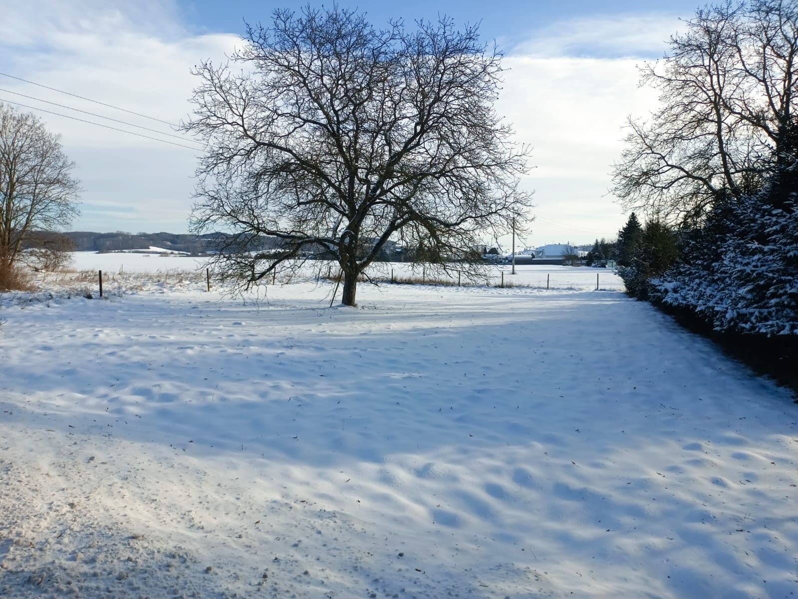Predaj pozemku 1.008 m², Mnichovo Hradiště, Středočeský kraj Predaj pozemku 1.008 m², Mnichovo Hradiště, Středočeský kraj