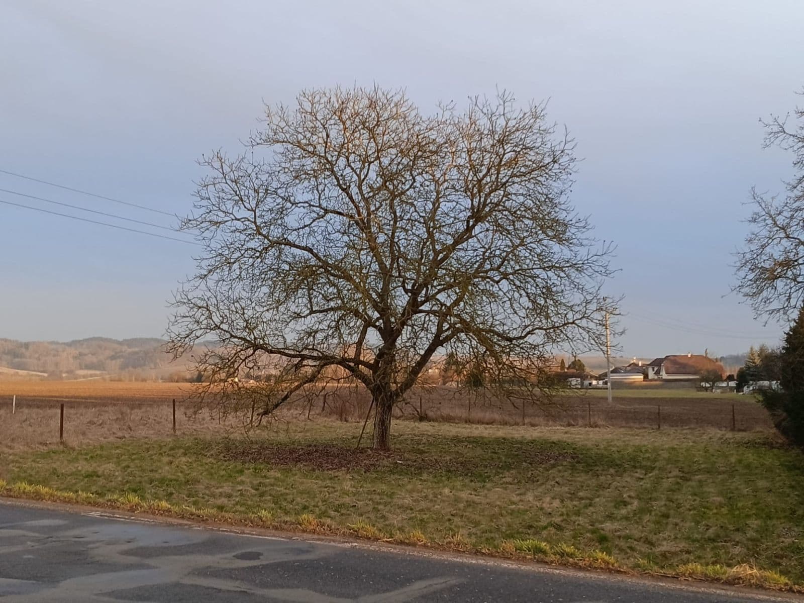 Predaj pozemku 1.008 m², Mnichovo Hradiště, Středočeský kraj Predaj pozemku 1.008 m², Mnichovo Hradiště, Středočeský kraj