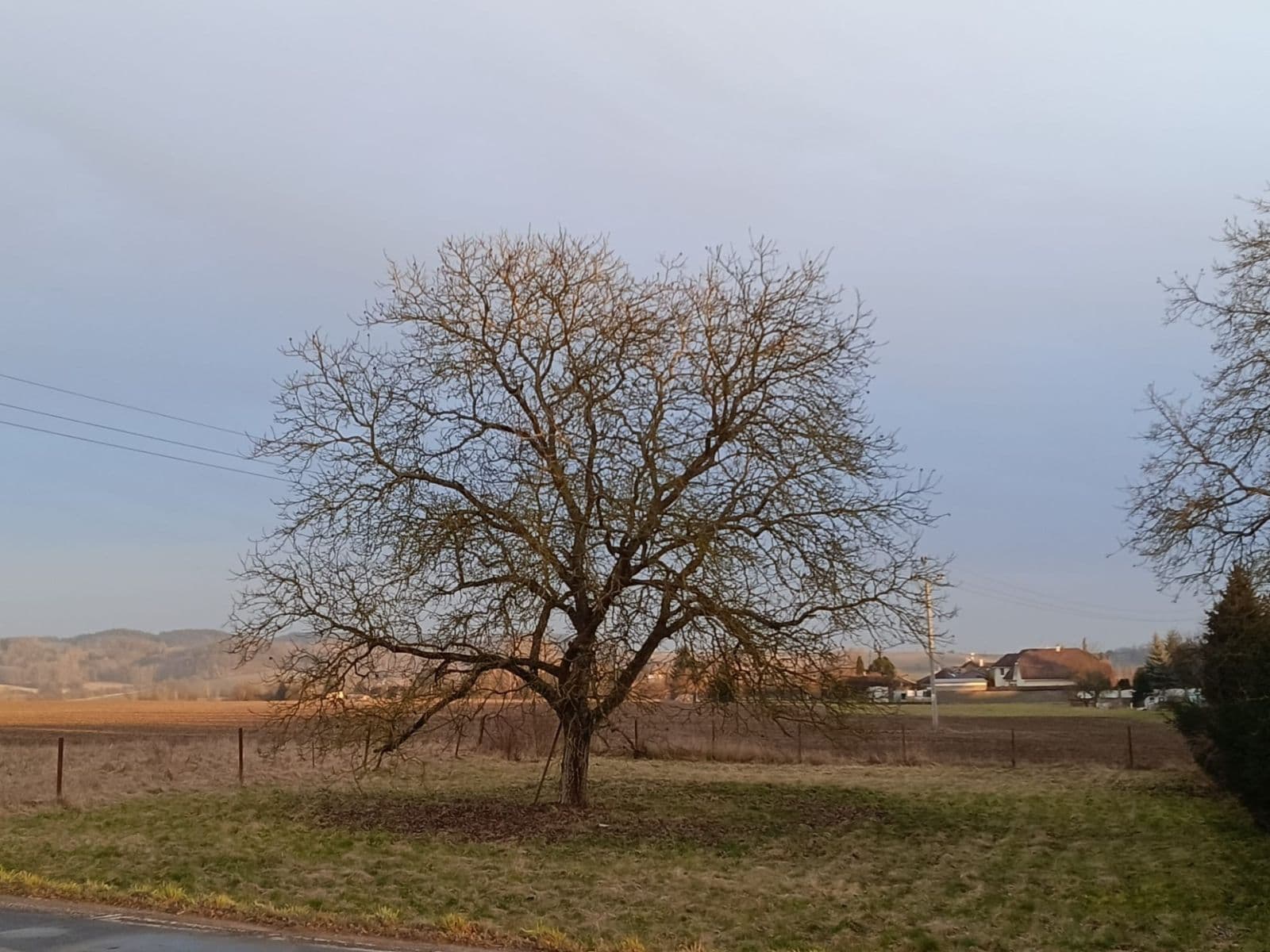 Predaj pozemku 1.008 m², Mnichovo Hradiště, Středočeský kraj Predaj pozemku 1.008 m², Mnichovo Hradiště, Středočeský kraj