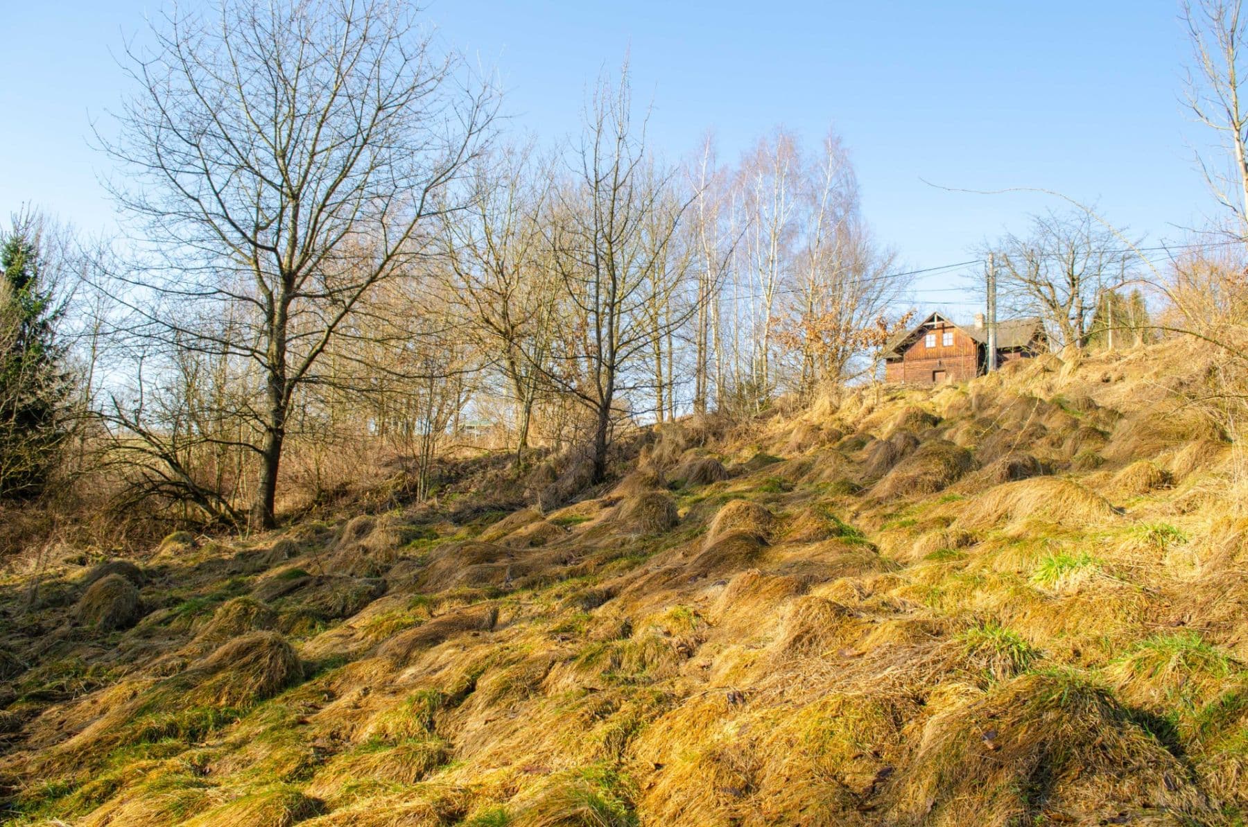 Predaj pozemku 2.174 m², Nová Ves, Liberecký kraj Predaj pozemku 2.174 m², Nová Ves, Liberecký kraj