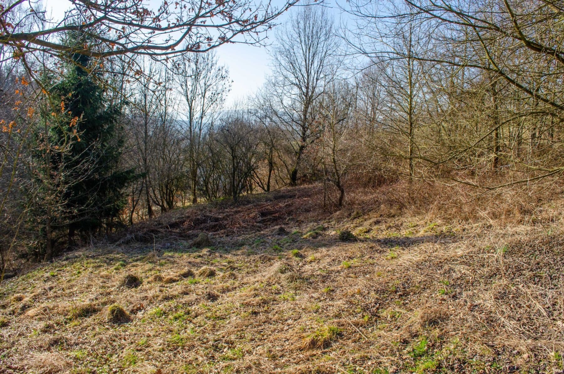 Predaj pozemku 2.174 m², Nová Ves, Liberecký kraj Predaj pozemku 2.174 m², Nová Ves, Liberecký kraj