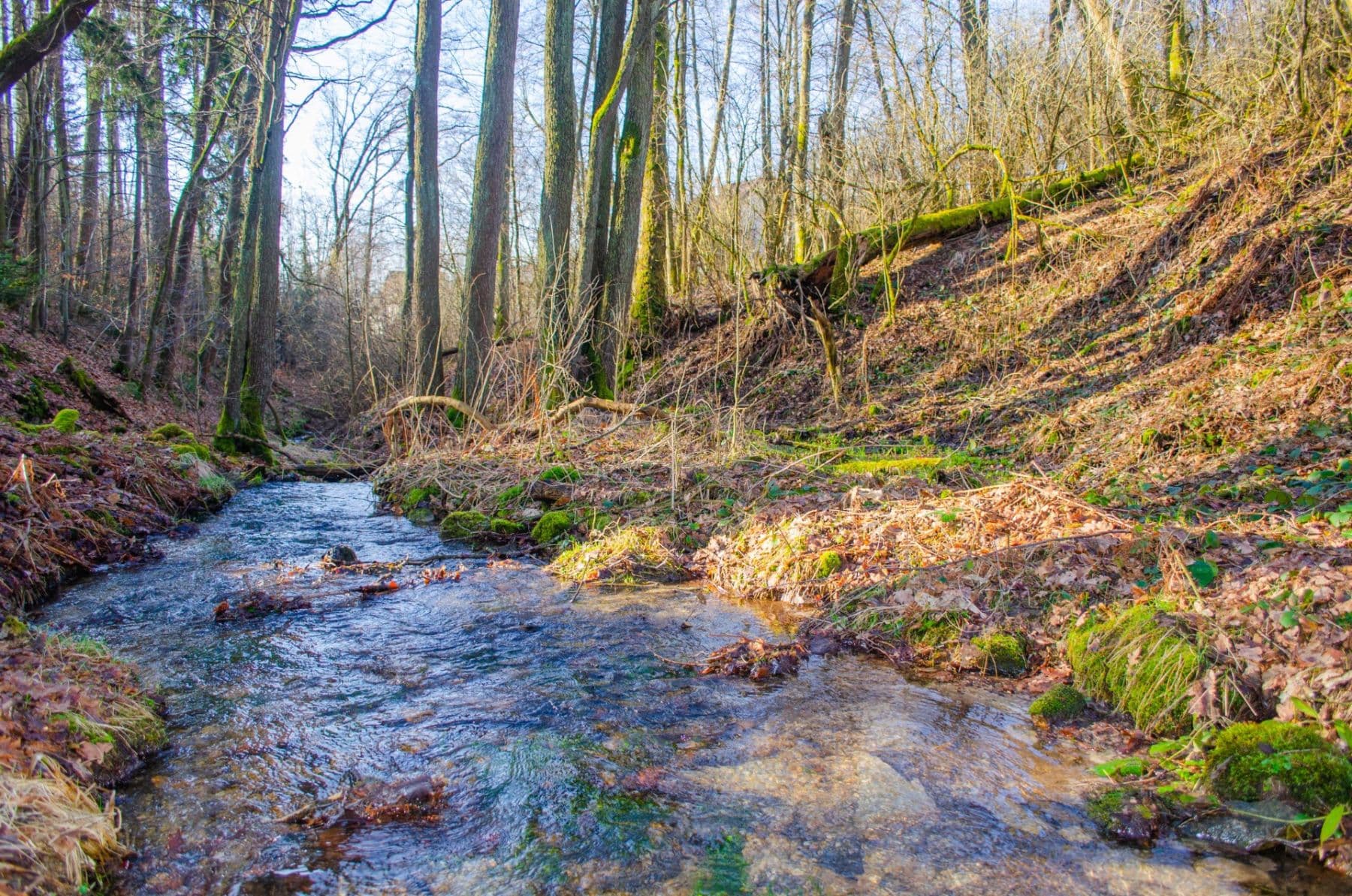 Predaj pozemku 2.174 m², Nová Ves, Liberecký kraj Predaj pozemku 2.174 m², Nová Ves, Liberecký kraj