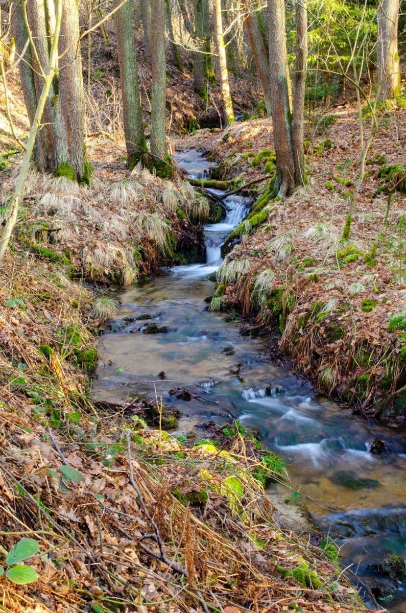 Predaj pozemku 2.174 m², Nová Ves, Liberecký kraj Predaj pozemku 2.174 m², Nová Ves, Liberecký kraj