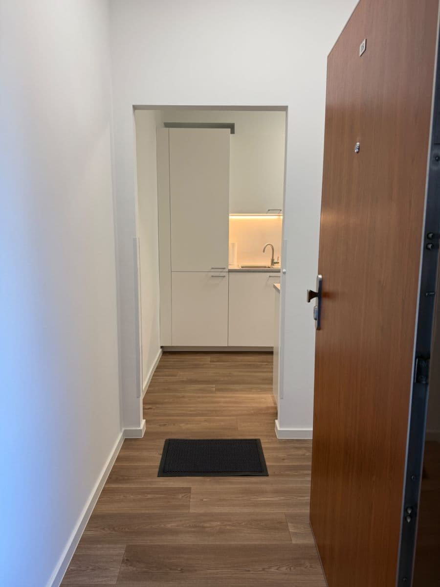 Prenájom bytu 2-izbový 45 m², Myslbekova, Ostrava, Moravskoslezský kraj Prenájom bytu 2-izbový 45 m², Myslbekova, Ostrava, Moravskoslezský kraj