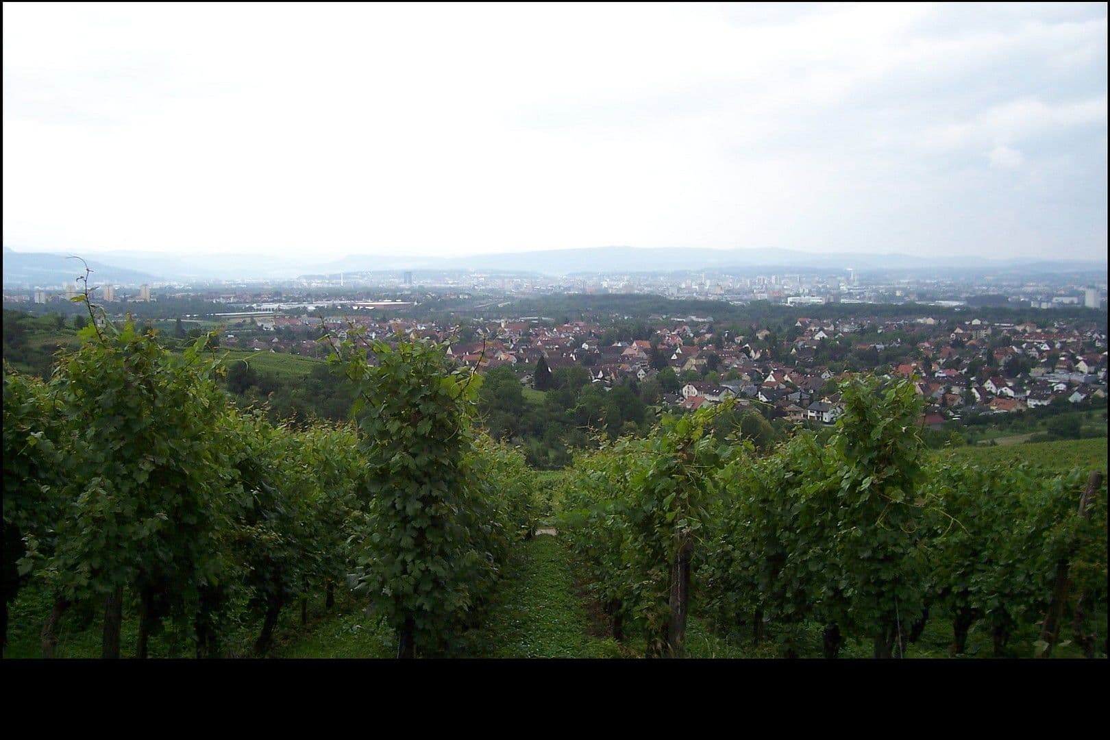 Prenájom bytu 4-izbový 119 m², Weil am Rhein, Bádensko-Wurttembersko Prenájom bytu 4-izbový 119 m², Weil am Rhein, Bádensko-Wurttembersko