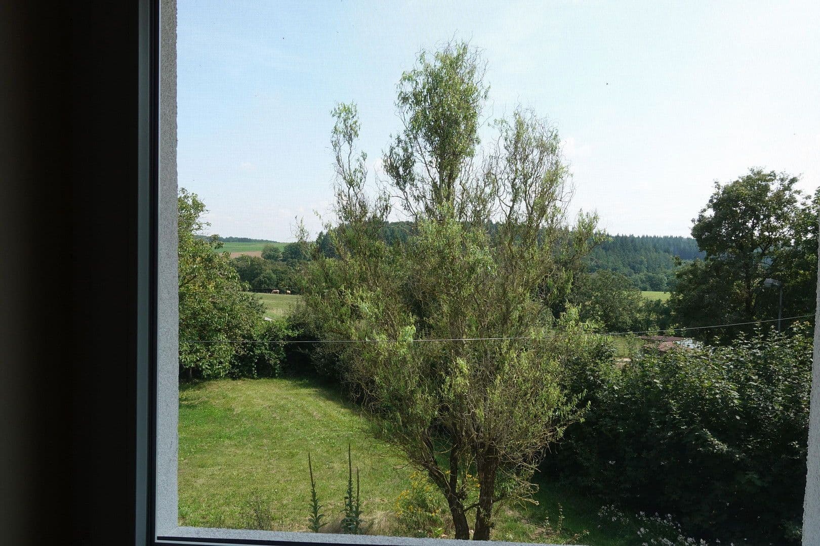 Predaj domu 180 m², pozemek 39.000 m², Hohlensten 3, Buchen (Odenwald), Bádensko-Wurttembersko Predaj domu 180 m², pozemek 39.000 m², Hohlensten 3, Buchen (Odenwald), Bádensko-Wurttembersko