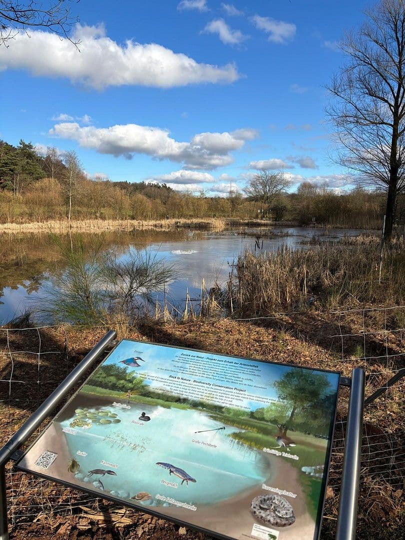 Predaj bytu 3-izbový 105 m², Finkenstraße 48, Ramstein-Miesenbach, Porýnie-Falcko Predaj bytu 3-izbový 105 m², Finkenstraße 48, Ramstein-Miesenbach, Porýnie-Falcko