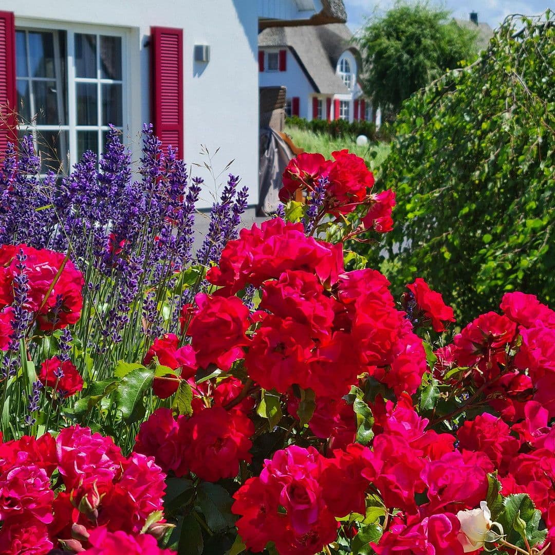 Predaj domu 84 m², pozemek 727 m², Fuhlendorf, Meklenbursko-Predpomoransko Predaj domu 84 m², pozemek 727 m², Fuhlendorf, Meklenbursko-Predpomoransko