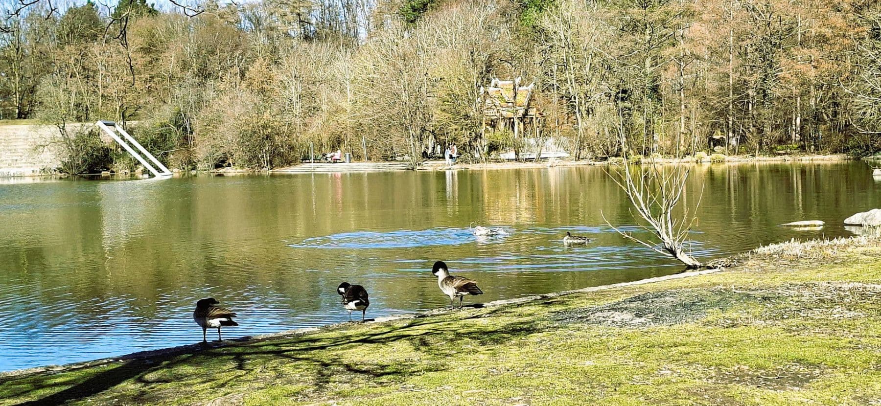 Predaj bytu 3-izbový 80 m², Westendstrasse 266a, München, Bavorsko Predaj bytu 3-izbový 80 m², Westendstrasse 266a, München, Bavorsko