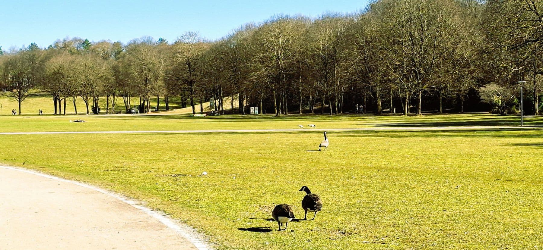 Predaj bytu 3-izbový 80 m², Westendstrasse 266a, München, Bavorsko Predaj bytu 3-izbový 80 m², Westendstrasse 266a, München, Bavorsko