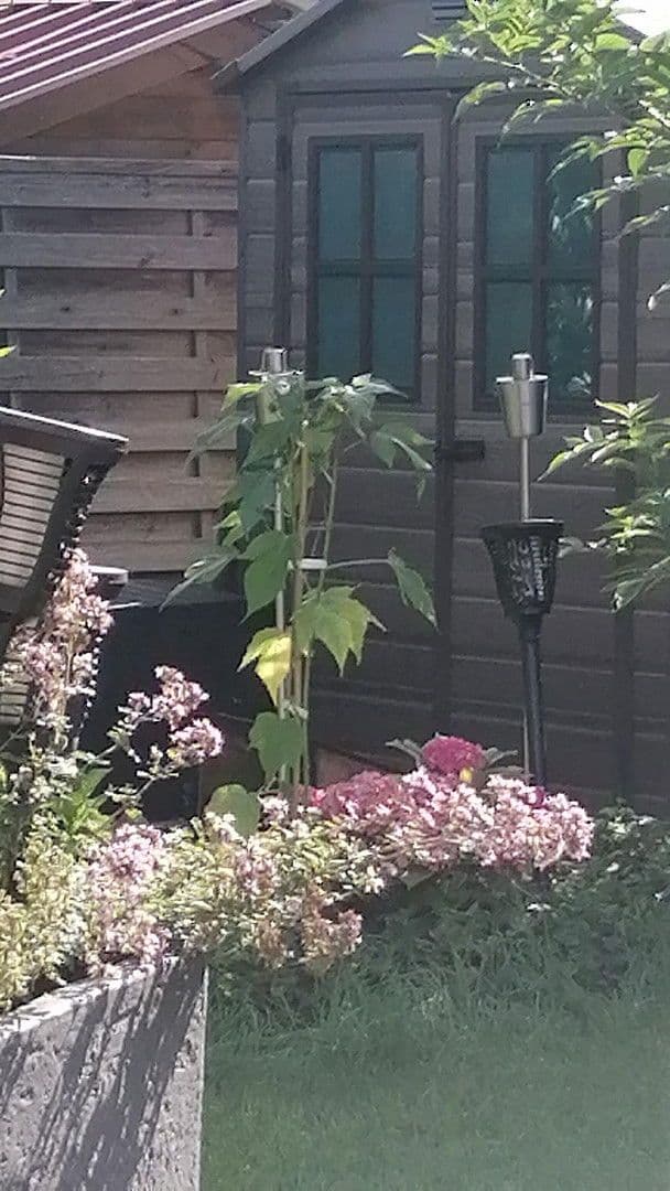 Predaj bytu 5-izbový 150 m², Karlshuld, Bavorsko Predaj bytu 5-izbový 150 m², Karlshuld, Bavorsko