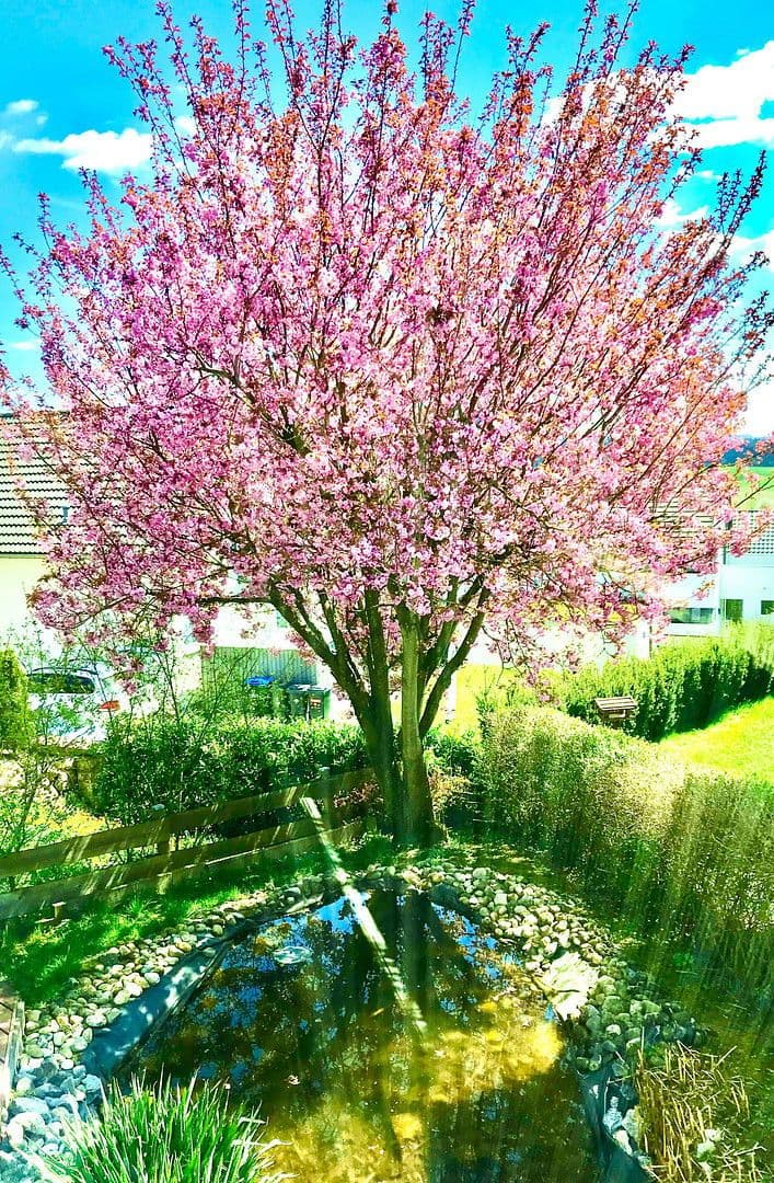 Predaj domu 250 m², pozemek 313 m², Göppingen, Bádensko-Wurttembersko Predaj domu 250 m², pozemek 313 m², Göppingen, Bádensko-Wurttembersko