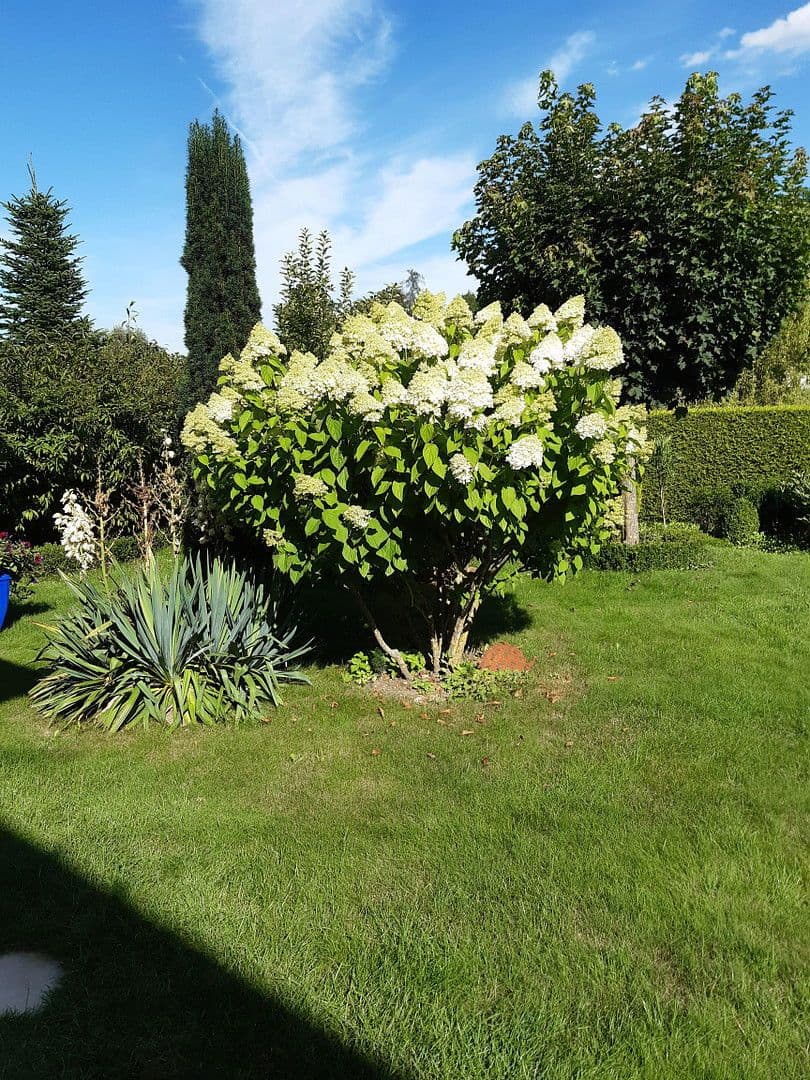 Predaj domu 220 m², pozemek 1.300 m², Bad Griesbach i.Rottal, Bavorsko Predaj domu 220 m², pozemek 1.300 m², Bad Griesbach i.Rottal, Bavorsko