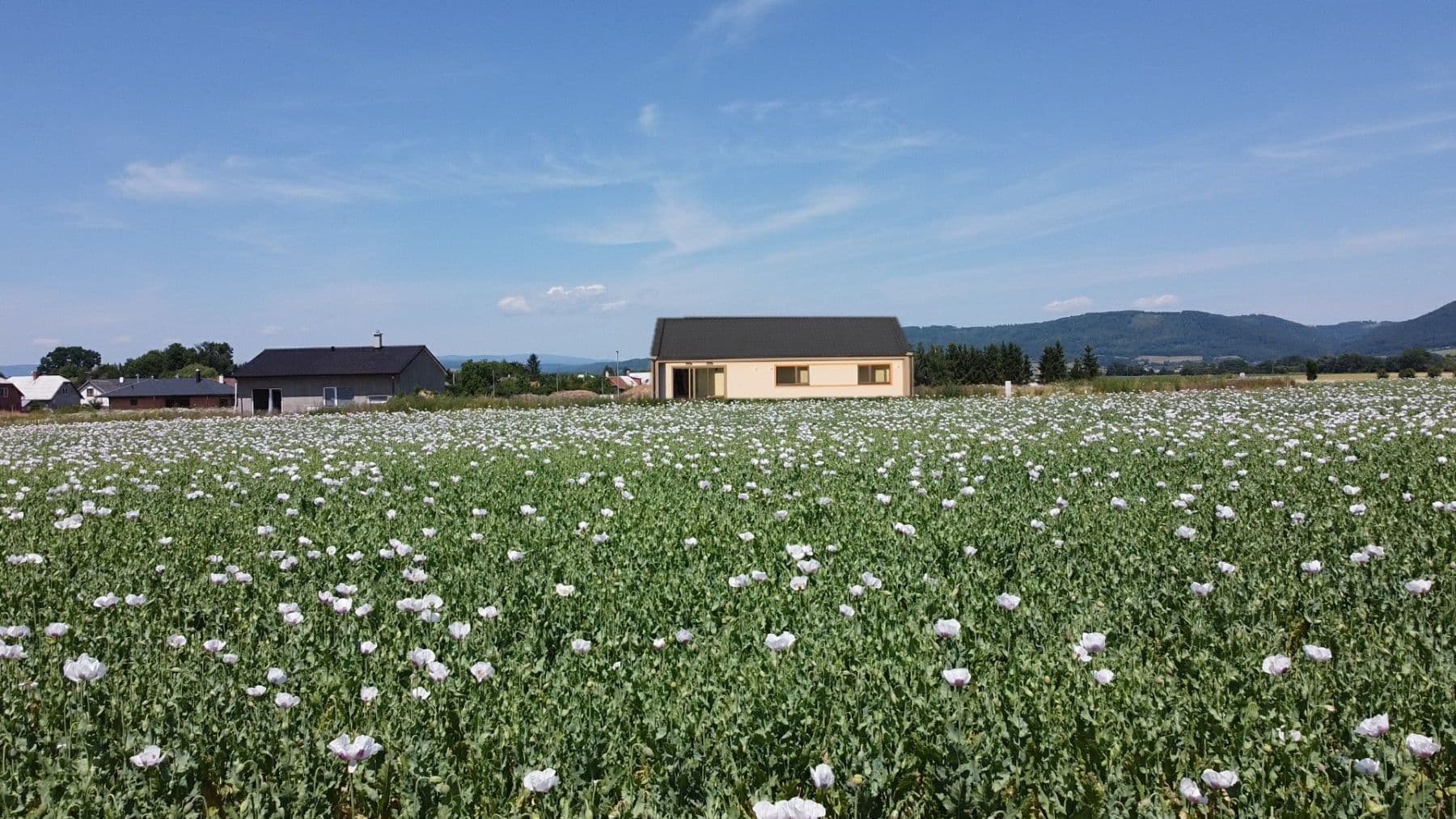 Predaj domu 110 m², pozemek 800 m², Újezd, Olomoucký kraj Predaj domu 110 m², pozemek 800 m², Újezd, Olomoucký kraj