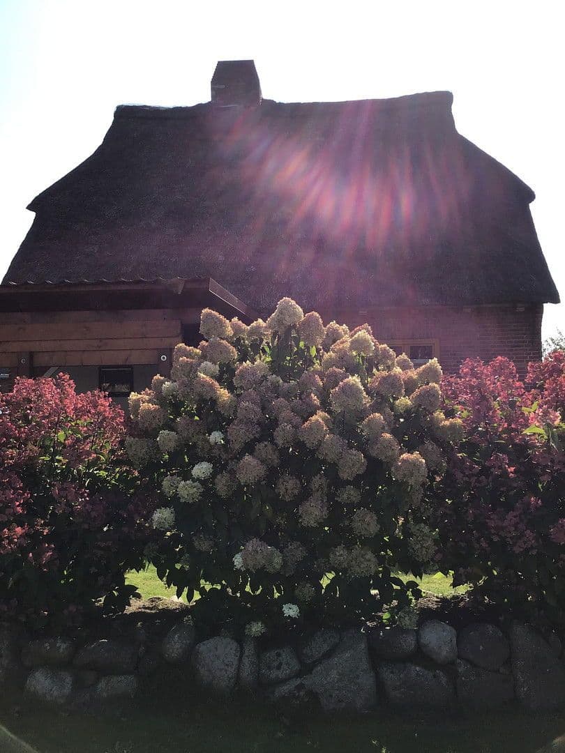 Predaj domu 130 m², pozemek 671 m², Heinkenborstel, Šlezvicko-Holštajnsko Predaj domu 130 m², pozemek 671 m², Heinkenborstel, Šlezvicko-Holštajnsko