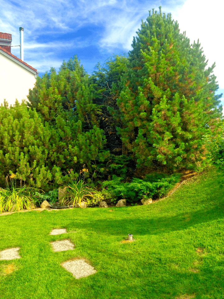 Predaj domu 360 m², pozemek 870 m², Schluchsee, Bádensko-Wurttembersko Predaj domu 360 m², pozemek 870 m², Schluchsee, Bádensko-Wurttembersko