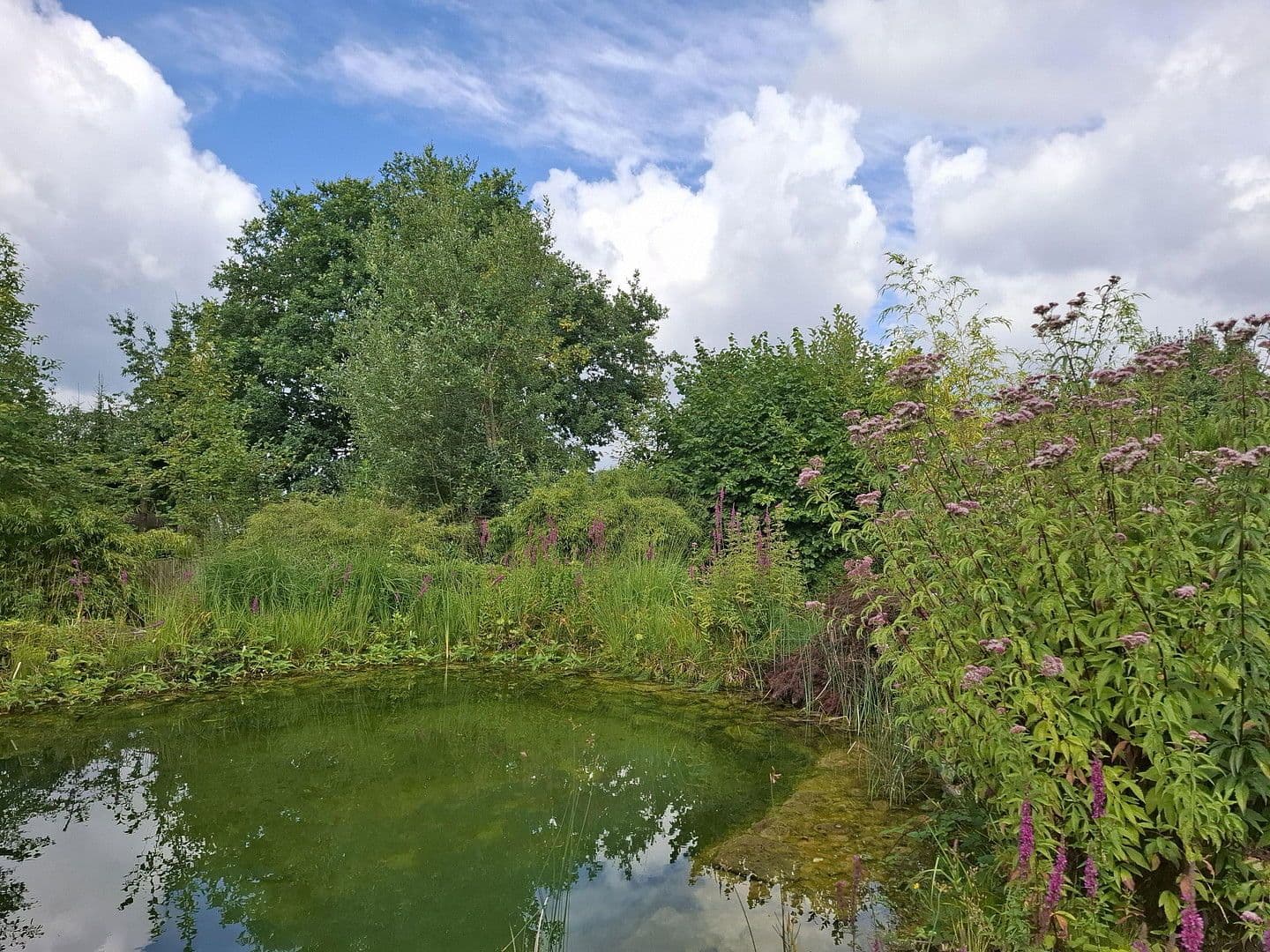 Predaj domu 240 m², pozemek 992 m², Weyerbusch, Porýnie-Falcko Predaj domu 240 m², pozemek 992 m², Weyerbusch, Porýnie-Falcko