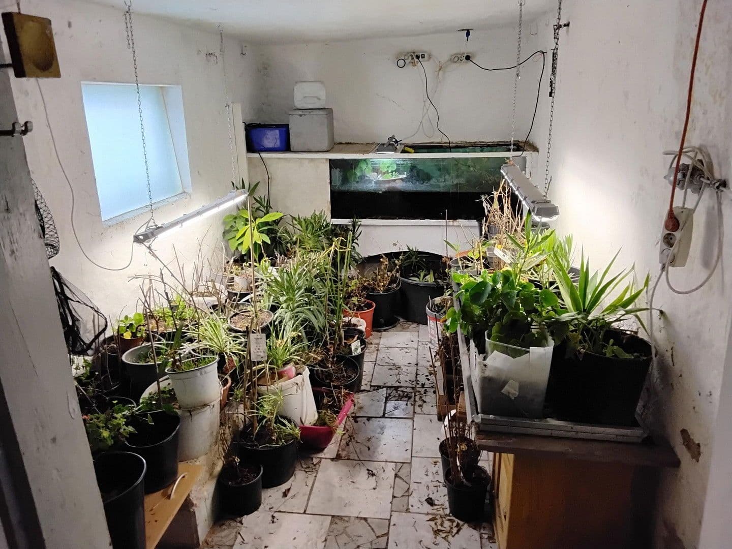 Predaj domu 180 m², pozemek 300 m², Feldgasse 6, Kautzen, Dolné Rakúsko Predaj domu 180 m², pozemek 300 m², Feldgasse 6, Kautzen, Dolné Rakúsko