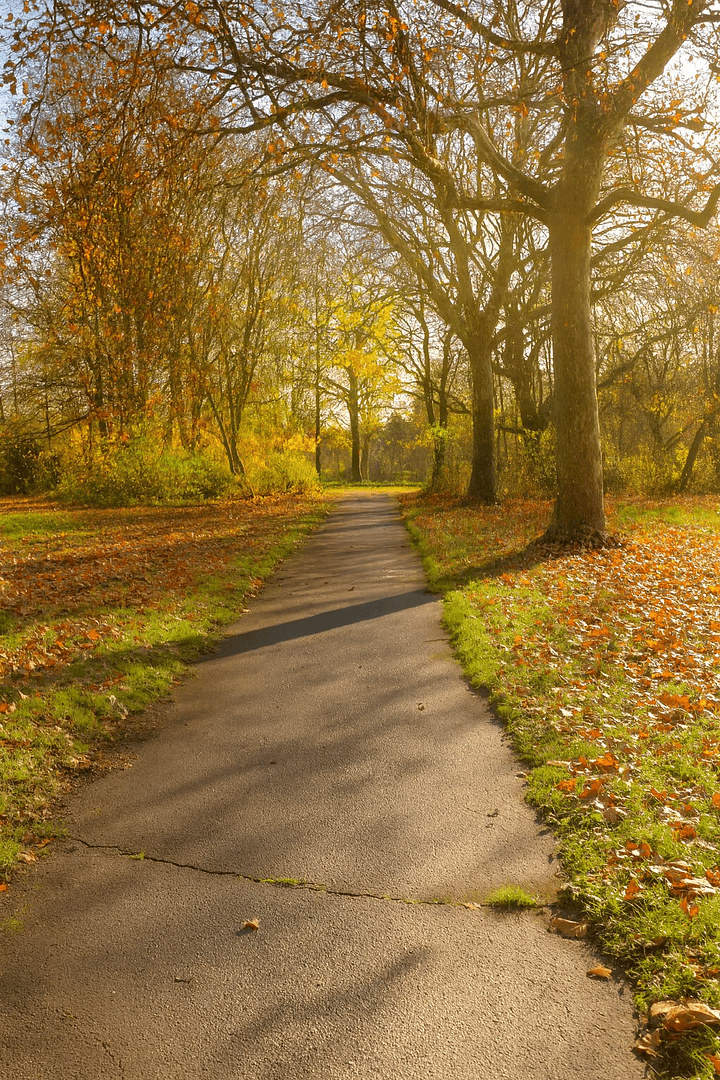 Predaj domu 120 m², pozemek 524 m², Köln, Severné Porýnie - Westfálsko Predaj domu 120 m², pozemek 524 m², Köln, Severné Porýnie - Westfálsko