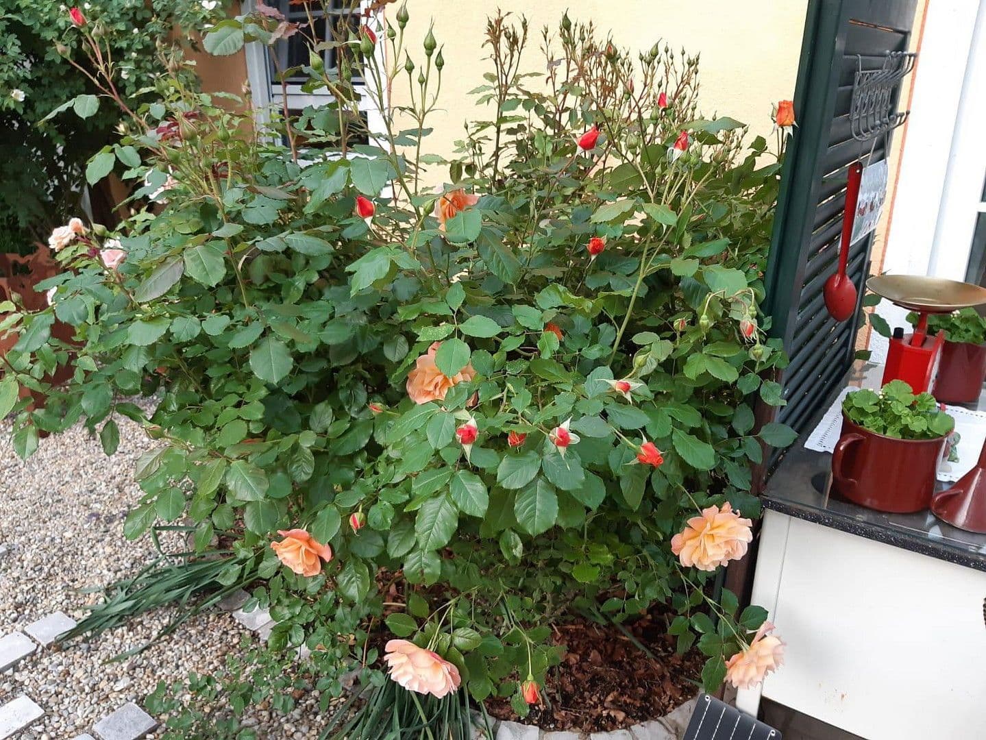 Predaj domu 155 m², pozemek 730 m², Althegnenberg, Bavorsko Predaj domu 155 m², pozemek 730 m², Althegnenberg, Bavorsko