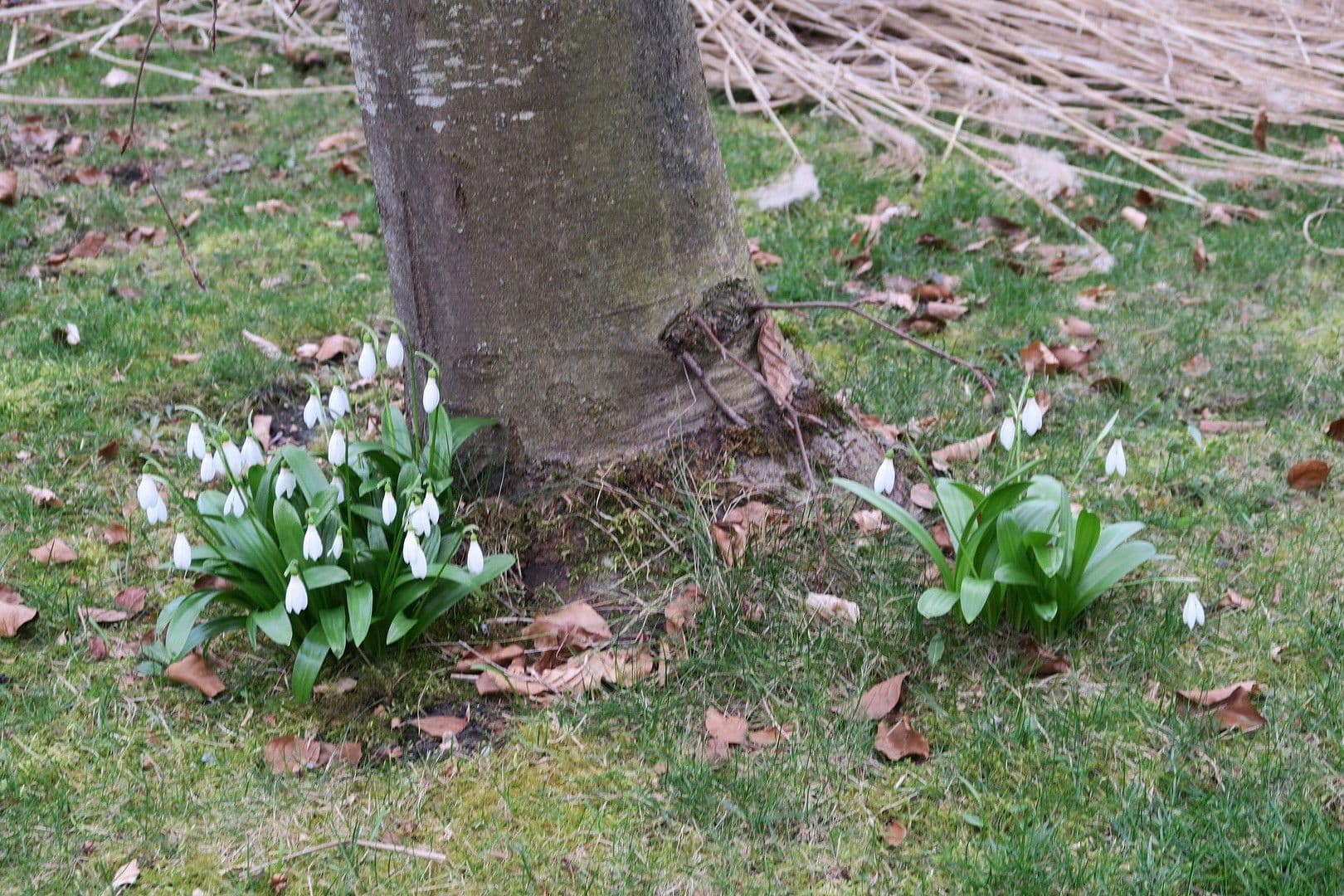 Predaj domu 155 m², pozemek 730 m², Althegnenberg, Bavorsko Predaj domu 155 m², pozemek 730 m², Althegnenberg, Bavorsko