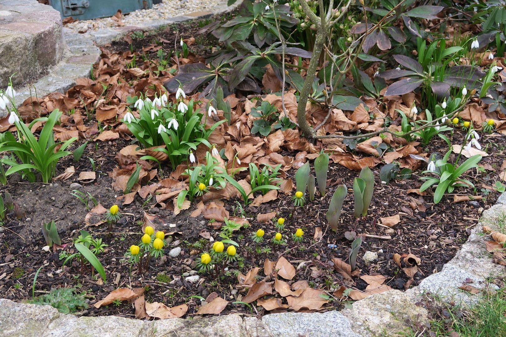 Predaj domu 155 m², pozemek 730 m², Althegnenberg, Bavorsko Predaj domu 155 m², pozemek 730 m², Althegnenberg, Bavorsko