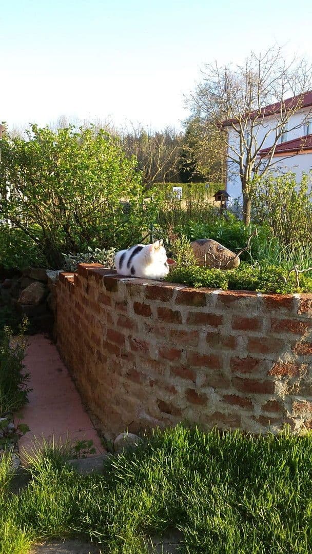 Predaj domu 155 m², pozemek 730 m², Althegnenberg, Bavorsko Predaj domu 155 m², pozemek 730 m², Althegnenberg, Bavorsko