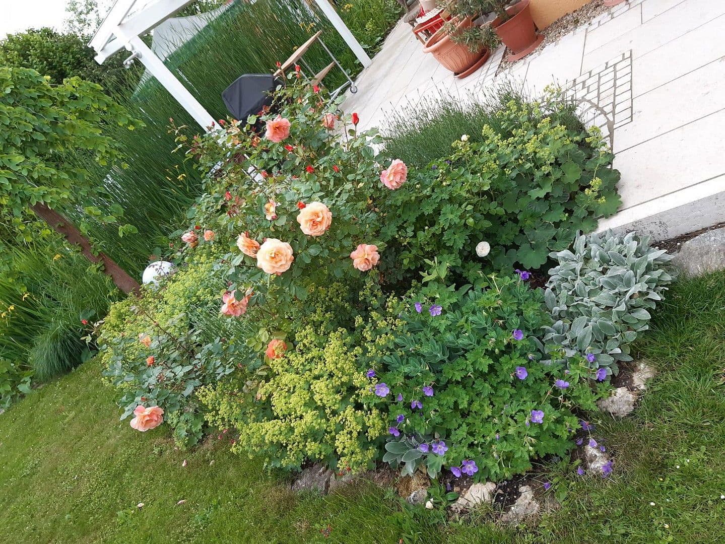 Predaj domu 155 m², pozemek 730 m², Althegnenberg, Bavorsko Predaj domu 155 m², pozemek 730 m², Althegnenberg, Bavorsko