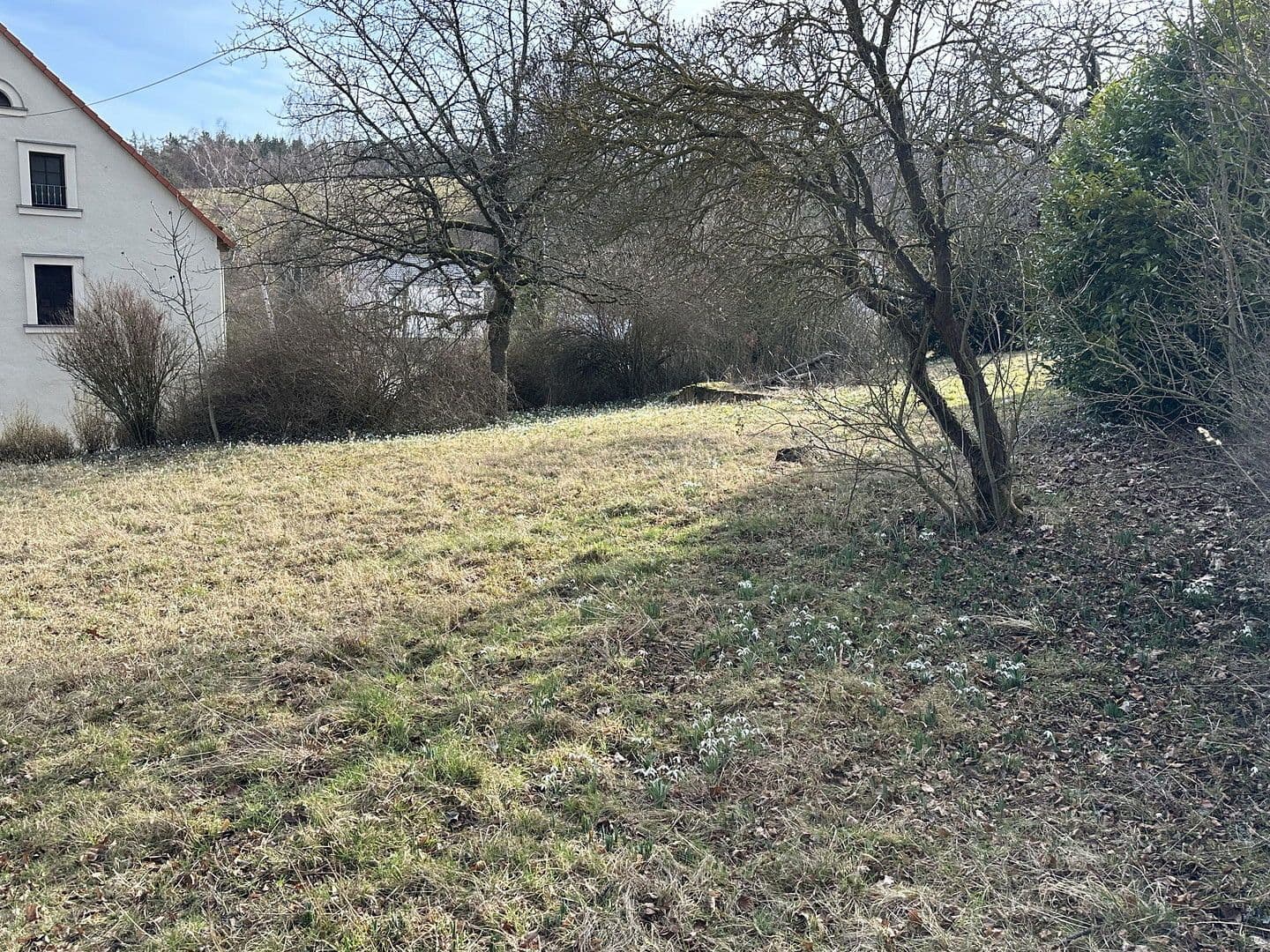 Predaj pozemku 2.364 m², Von-der-Gabelentz-Straße 5, Lemnitz, Durínsko Predaj pozemku 2.364 m², Von-der-Gabelentz-Straße 5, Lemnitz, Durínsko