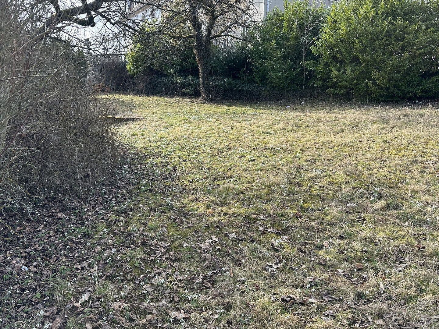 Predaj pozemku 2.364 m², Von-der-Gabelentz-Straße 5, Lemnitz, Durínsko Predaj pozemku 2.364 m², Von-der-Gabelentz-Straße 5, Lemnitz, Durínsko