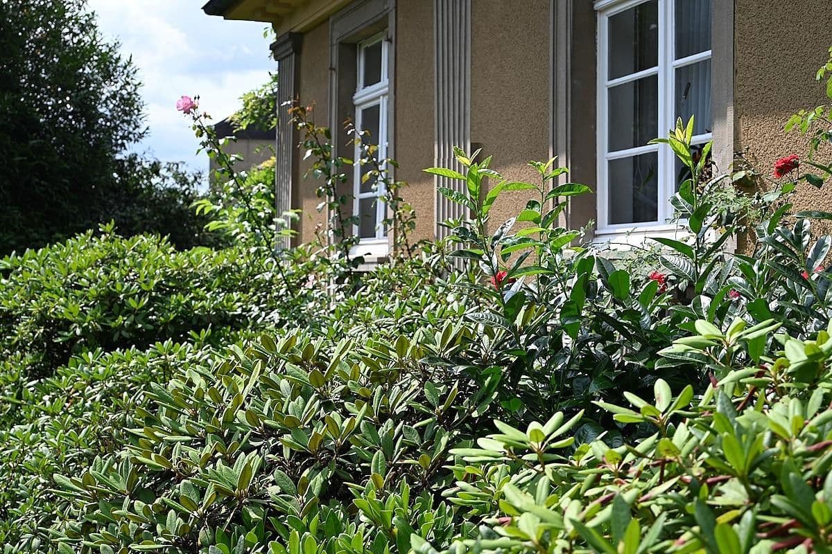 Predaj domu 182 m², pozemek 767 m², Dülmen, Severné Porýnie - Westfálsko Predaj domu 182 m², pozemek 767 m², Dülmen, Severné Porýnie - Westfálsko