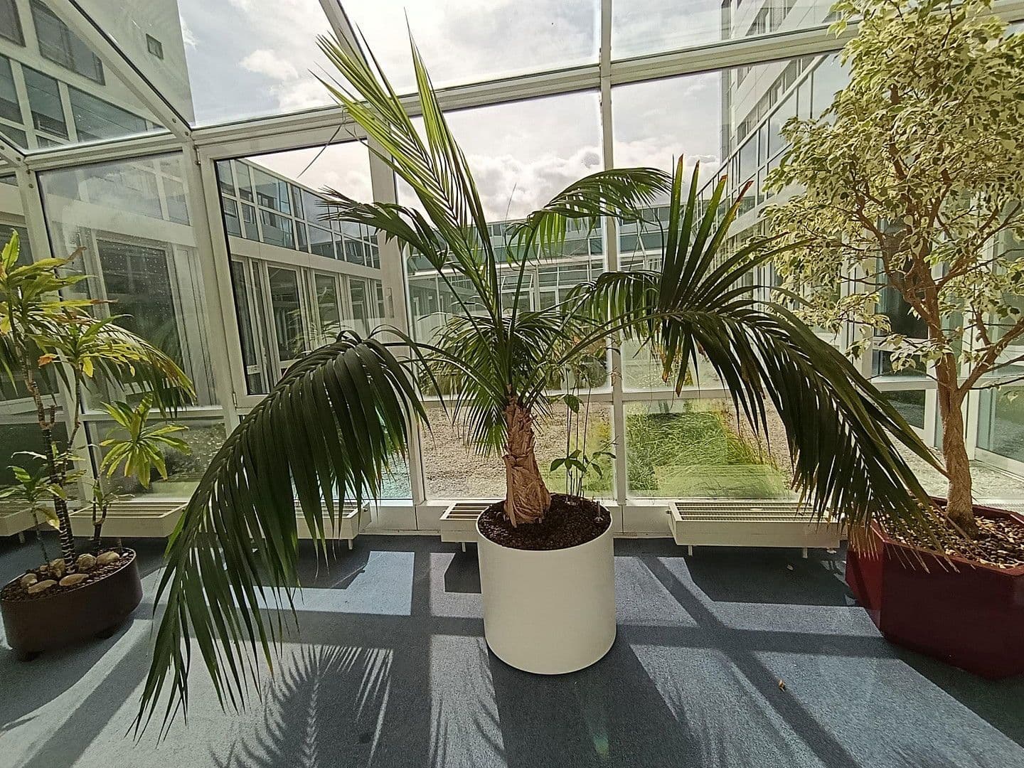 Prenájom kancelárie 14.285 m², Martin-Behaim Str. 20, Neu-Isenburg, Hesensko Prenájom kancelárie 14.285 m², Martin-Behaim Str. 20, Neu-Isenburg, Hesensko