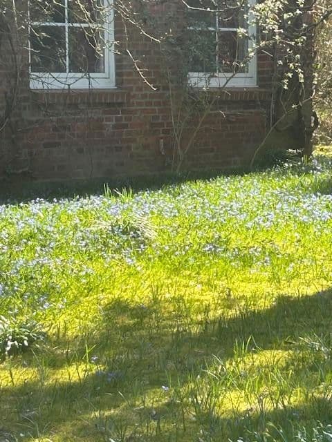 Predaj pozemku 11.148 m², Bark, Šlezvicko-Holštajnsko Predaj pozemku 11.148 m², Bark, Šlezvicko-Holštajnsko