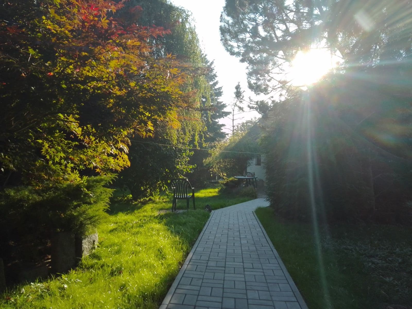 Predaj domu 169 m², pozemek 1.053 m², Čečkovice, Kraj Vysočina Predaj domu 169 m², pozemek 1.053 m², Čečkovice, Kraj Vysočina