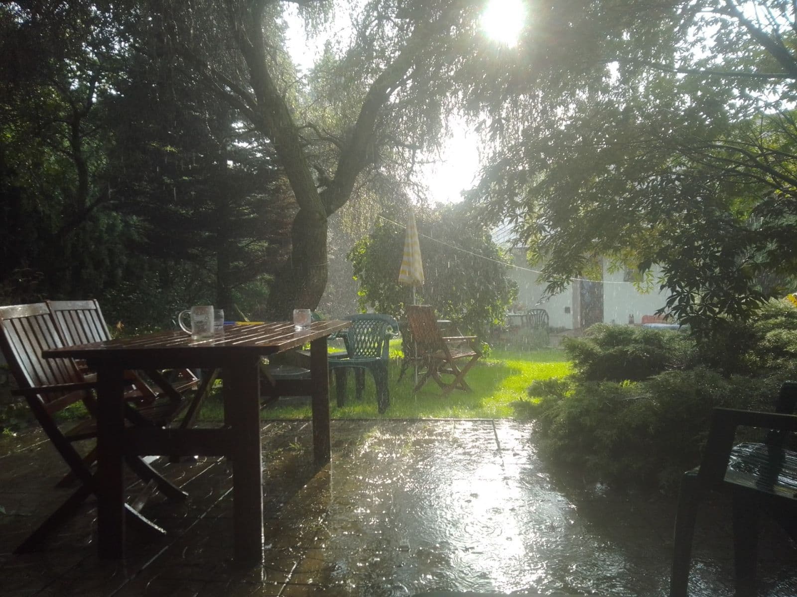 Predaj domu 169 m², pozemek 1.053 m², Čečkovice, Kraj Vysočina Predaj domu 169 m², pozemek 1.053 m², Čečkovice, Kraj Vysočina