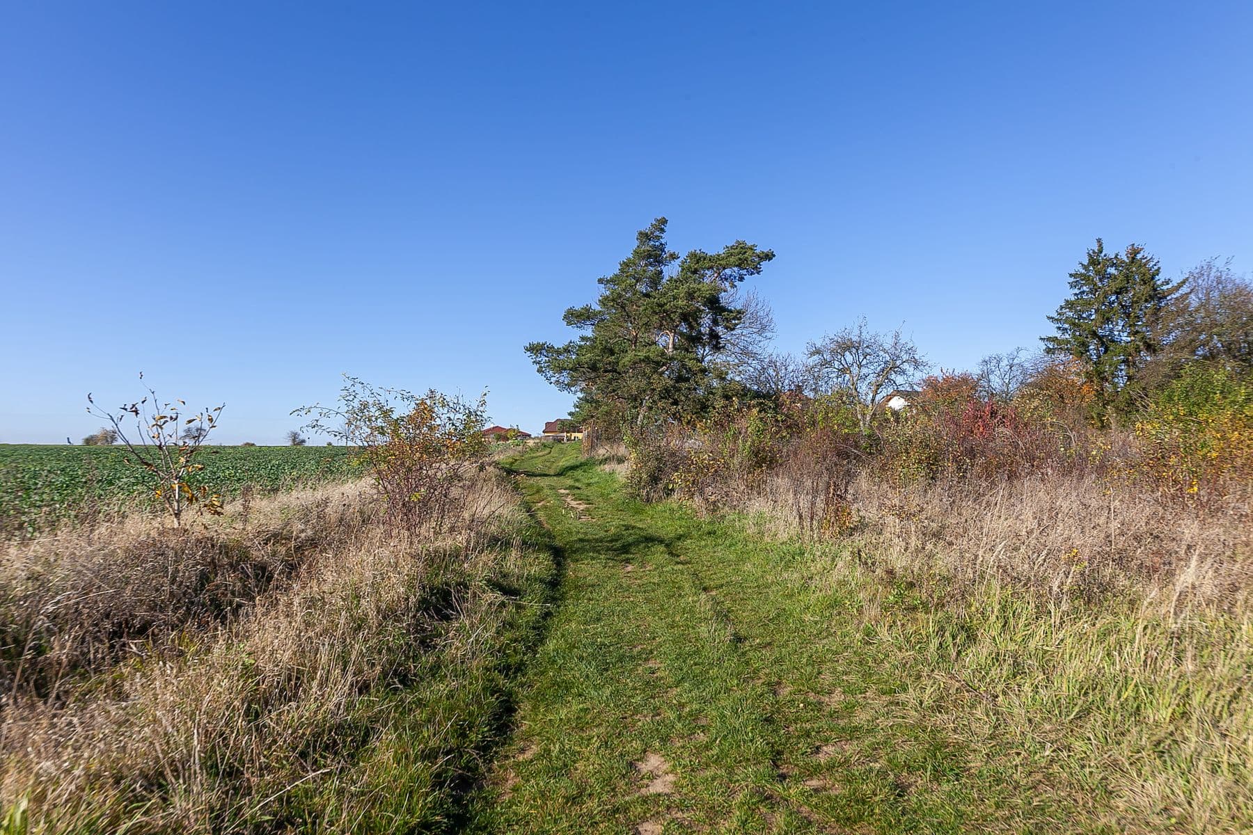 Predaj pozemku 935 m², Dobříč, Plzeňský kraj Predaj pozemku 935 m², Dobříč, Plzeňský kraj