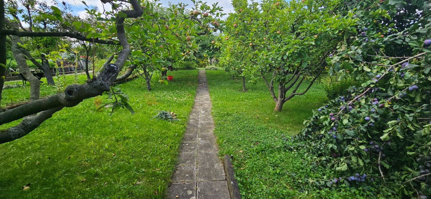 Prenájom pozemku 300 m², Jaselská, Šenov u Nového Jičína, Moravskoslezský kraj Prenájom pozemku 300 m², Jaselská, Šenov u Nového Jičína, Moravskoslezský kraj