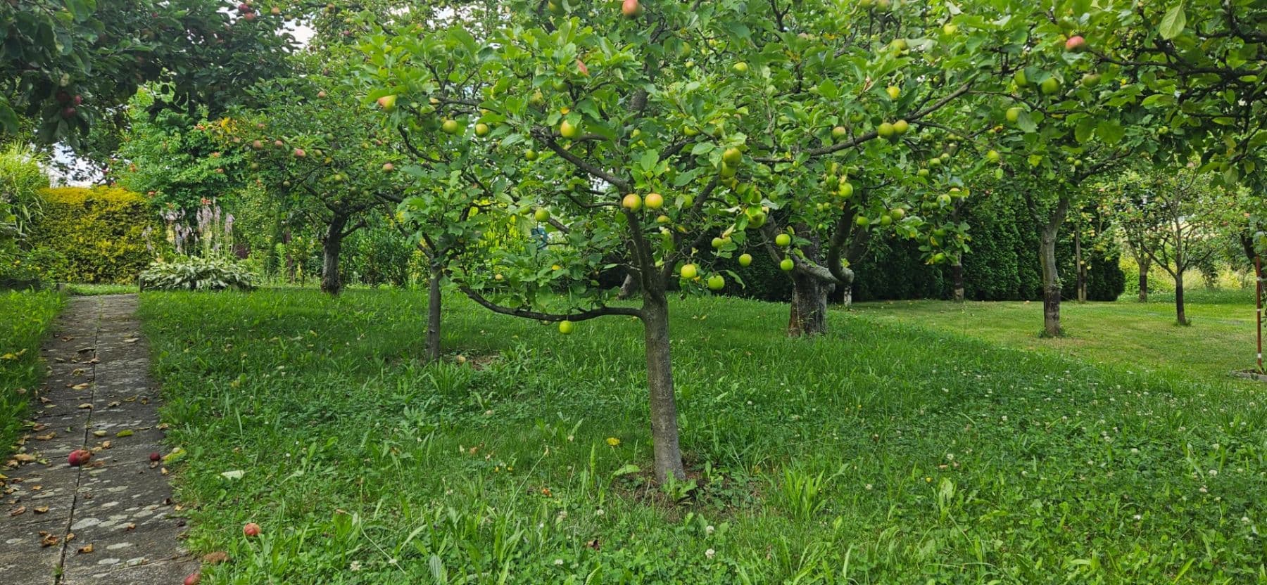 Prenájom pozemku 300 m², Jaselská, Šenov u Nového Jičína, Moravskoslezský kraj Prenájom pozemku 300 m², Jaselská, Šenov u Nového Jičína, Moravskoslezský kraj