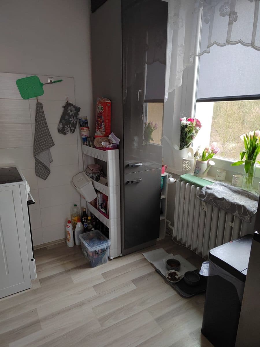 Prenájom bytu 3-izbový 68 m², Opavská, Teplice, Ústecký kraj Prenájom bytu 3-izbový 68 m², Opavská, Teplice, Ústecký kraj