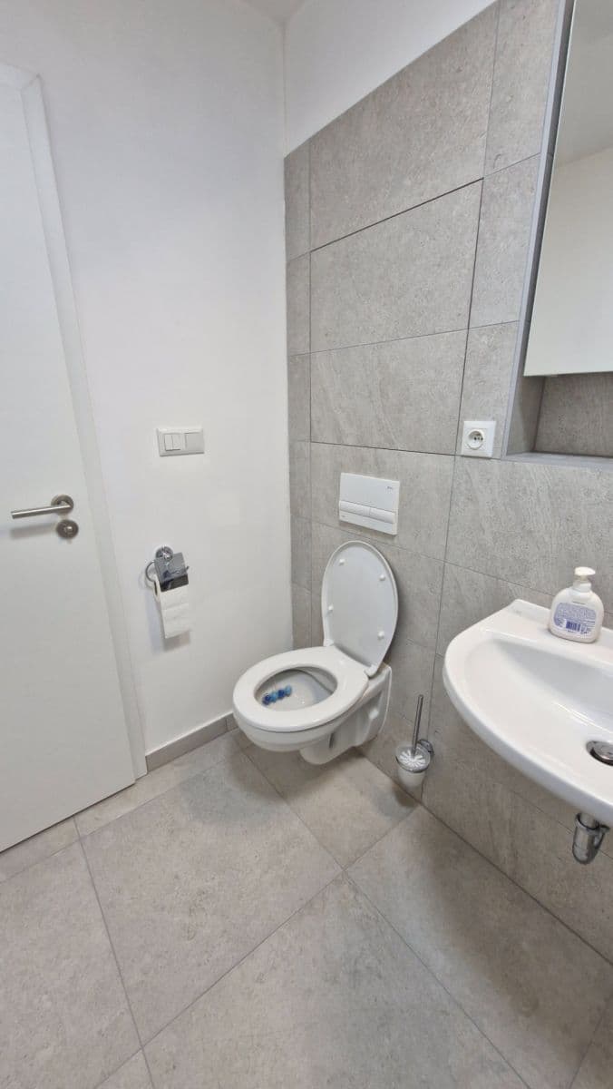 Prenájom bytu 1-izbový 30 m², Auerswaldova, Brno, Jihomoravský kraj Prenájom bytu 1-izbový 30 m², Auerswaldova, Brno, Jihomoravský kraj