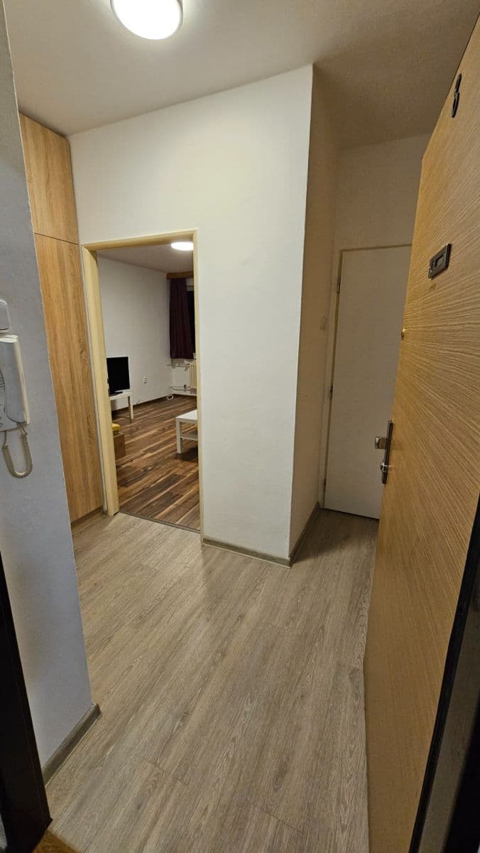 Prenájom bytu 1-izbový 37 m², V Rybníčkách, Praha, Praha Prenájom bytu 1-izbový 37 m², V Rybníčkách, Praha, Praha