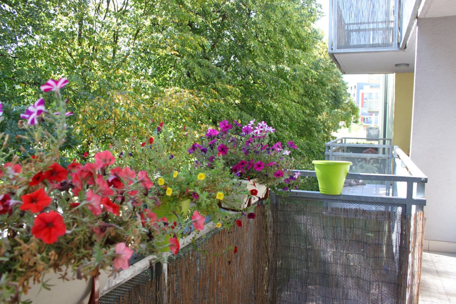 Prenájom bytu 3-izbový 73 m², Vřesovická, Praha, Praha Prenájom bytu 3-izbový 73 m², Vřesovická, Praha, Praha